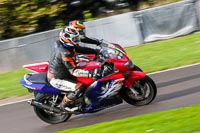 anglesey;brands-hatch;cadwell-park;croft;donington-park;enduro-digital-images;event-digital-images;eventdigitalimages;mallory;no-limits;oulton-park;peter-wileman-photography;racing-digital-images;silverstone;snetterton;trackday-digital-images;trackday-photos;vmcc-banbury-run;welsh-2-day-enduro
